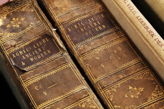 age, ancient, antique, book, brown, cover, dark, dirty, historic, history, knowledge, library, literature, museum, old, paper, side, vintage, brown book, brown books, brown library, brown paper, brown dark, brown history, brown knowledge. Weiterverarbeitung von Druckerzeugnissen: Falzen, Binden, Veredeln